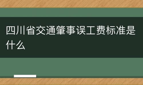 四川省交通肇事误工费标准是什么