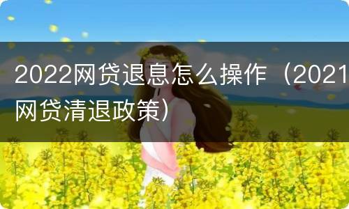 2022网贷退息怎么操作（2021网贷清退政策）