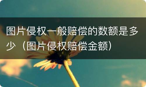图片侵权一般赔偿的数额是多少（图片侵权赔偿金额）