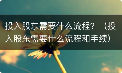 投入股东需要什么流程？（投入股东需要什么流程和手续）