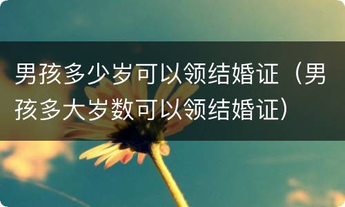男孩多少岁可以领结婚证（男孩多大岁数可以领结婚证）
