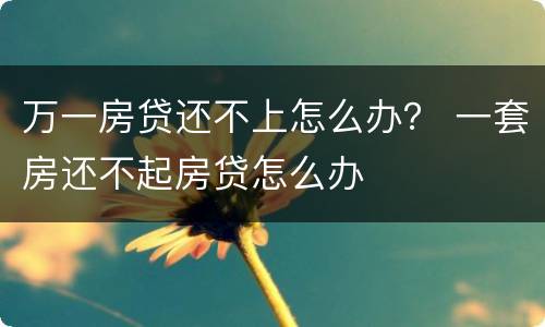 万一房贷还不上怎么办？ 一套房还不起房贷怎么办