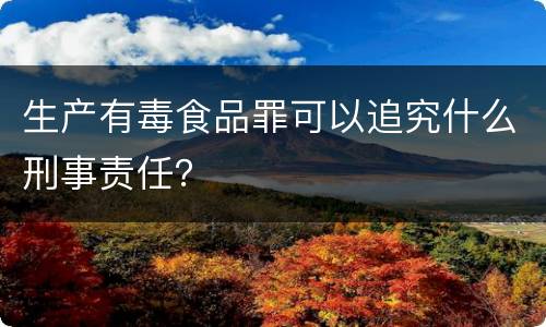 生产有毒食品罪可以追究什么刑事责任？