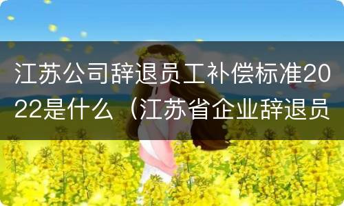 江苏公司辞退员工补偿标准2022是什么（江苏省企业辞退员工补偿标准）