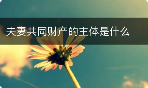 夫妻共同财产的主体是什么