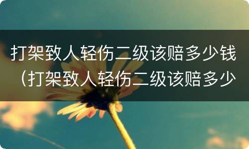 打架致人轻伤二级该赔多少钱（打架致人轻伤二级该赔多少钱合适）