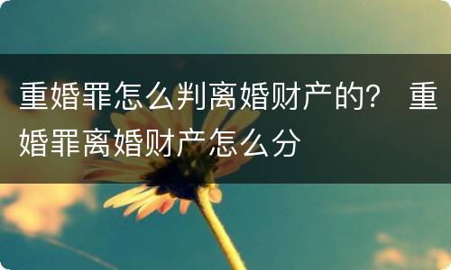 重婚罪怎么判离婚财产的？ 重婚罪离婚财产怎么分