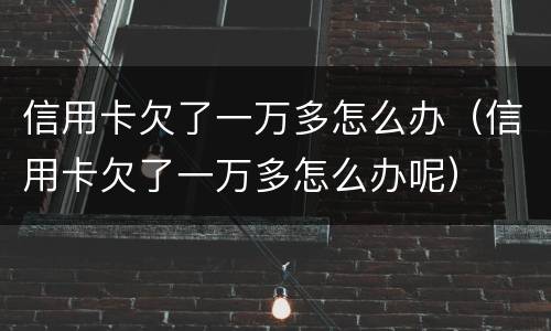 信用卡欠了一万多怎么办（信用卡欠了一万多怎么办呢）