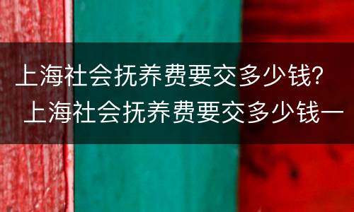 上海社会抚养费要交多少钱？ 上海社会抚养费要交多少钱一年