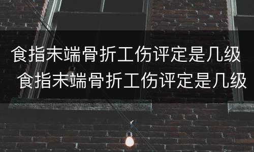 食指末端骨折工伤评定是几级 食指末端骨折工伤评定是几级残疾