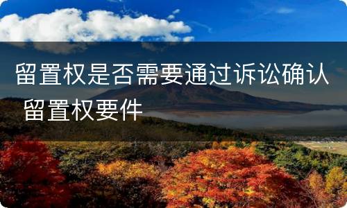 留置权是否需要通过诉讼确认 留置权要件