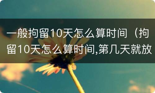 一般拘留10天怎么算时间（拘留10天怎么算时间,第几天就放出了）