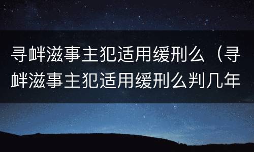 寻衅滋事主犯适用缓刑么（寻衅滋事主犯适用缓刑么判几年）