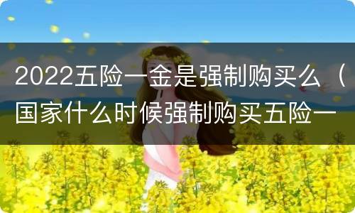 2022五险一金是强制购买么（国家什么时候强制购买五险一金）
