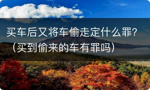 买车后又将车偷走定什么罪？（买到偷来的车有罪吗）