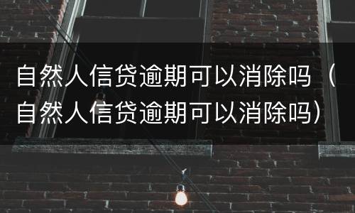 自然人信贷逾期可以消除吗（自然人信贷逾期可以消除吗）