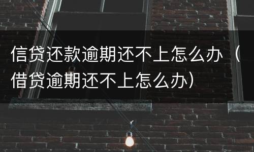 信贷还款逾期还不上怎么办（借贷逾期还不上怎么办）