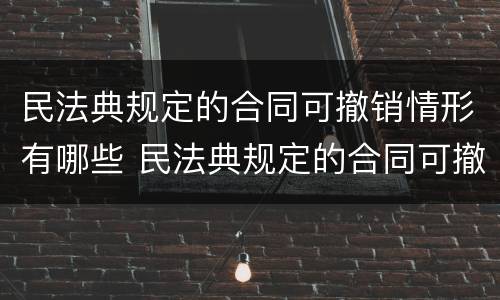 民法典规定的合同可撤销情形有哪些 民法典规定的合同可撤销情形有哪些