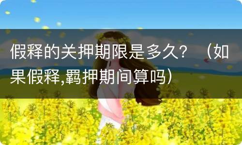 假释的关押期限是多久？（如果假释,羁押期间算吗）