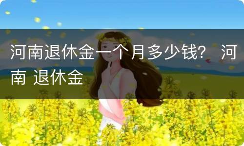 河南退休金一个月多少钱？ 河南 退休金