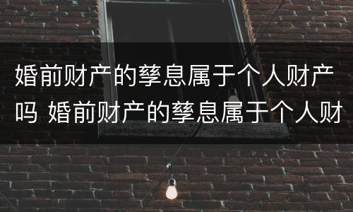 婚前财产的孳息属于个人财产吗 婚前财产的孳息属于个人财产吗