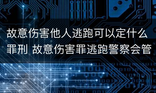 故意伤害他人逃跑可以定什么罪刑 故意伤害罪逃跑警察会管吗