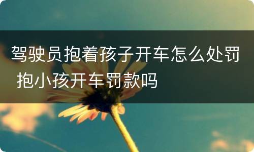 驾驶员抱着孩子开车怎么处罚 抱小孩开车罚款吗