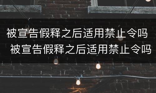 被宣告假释之后适用禁止令吗 被宣告假释之后适用禁止令吗