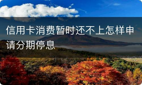 信用卡消费暂时还不上怎样申请分期停息