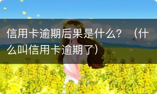 信用卡逾期后果是什么？（什么叫信用卡逾期了）