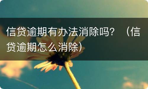 信贷逾期有办法消除吗？（信贷逾期怎么消除）
