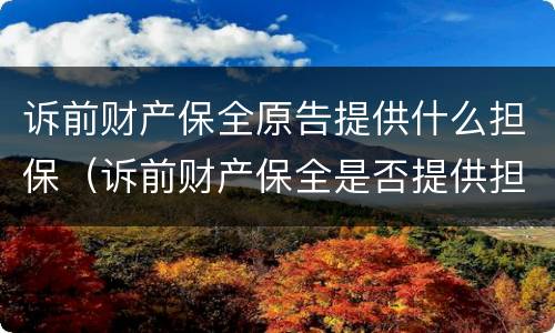 诉前财产保全原告提供什么担保（诉前财产保全是否提供担保由谁决定）