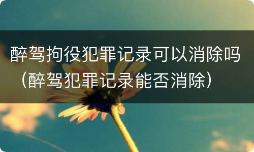 醉驾拘役犯罪记录可以消除吗（醉驾犯罪记录能否消除）