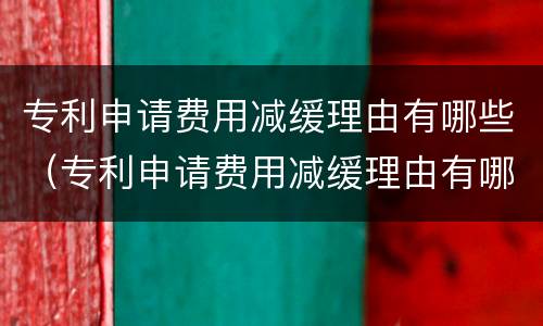 专利申请费用减缓理由有哪些（专利申请费用减缓理由有哪些内容）