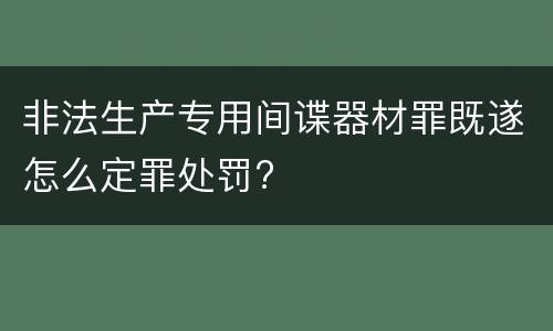 非法生产专用间谍器材罪既遂怎么定罪处罚?