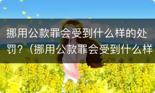 挪用公款罪会受到什么样的处罚?（挪用公款罪会受到什么样的处罚呢）