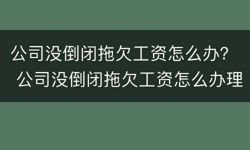 公司没倒闭拖欠工资怎么办？ 公司没倒闭拖欠工资怎么办理