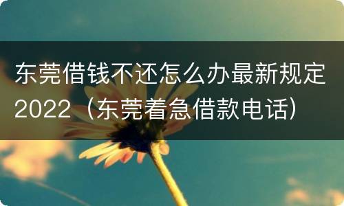 东莞借钱不还怎么办最新规定2022（东莞着急借款电话）