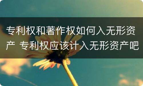 专利权和著作权如何入无形资产 专利权应该计入无形资产吧