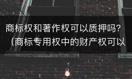 商标权和著作权可以质押吗？（商标专用权中的财产权可以质押吗）