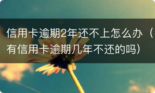 信用卡逾期2年还不上怎么办（有信用卡逾期几年不还的吗）