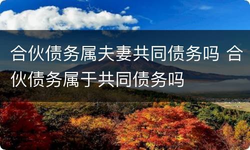 合伙债务属夫妻共同债务吗 合伙债务属于共同债务吗