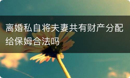 离婚私自将夫妻共有财产分配给保姆合法吗