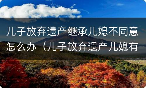 儿子放弃遗产继承儿媳不同意怎么办（儿子放弃遗产儿媳有权争夺吗）