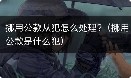 挪用公款从犯怎么处理?（挪用公款是什么犯）