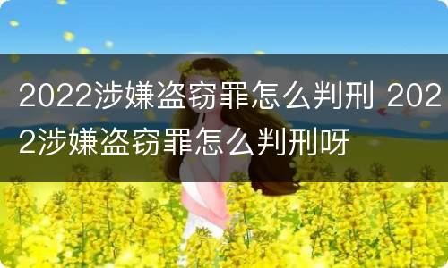 2022涉嫌盗窃罪怎么判刑 2022涉嫌盗窃罪怎么判刑呀