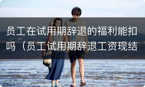 员工在试用期辞退的福利能扣吗（员工试用期辞退工资现结吗）