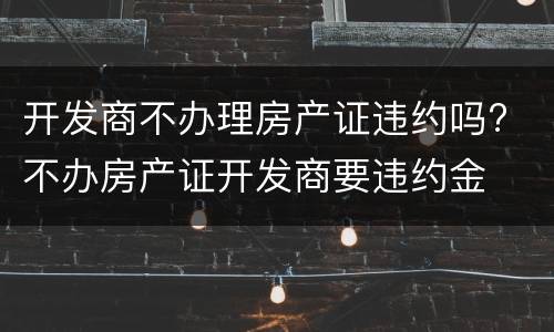 开发商不办理房产证违约吗? 不办房产证开发商要违约金