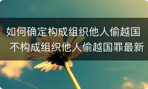 如何确定构成组织他人偷越国 不构成组织他人偷越国罪最新案例