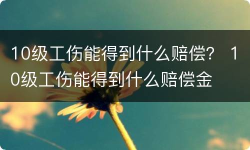 10级工伤能得到什么赔偿？ 10级工伤能得到什么赔偿金